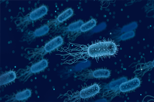 Microbiology - Get a detailed insight on microorganisms and their associated pathologies. Medprep questions provide information on the type of laboratory test needed to carry out in order to determine microbes.