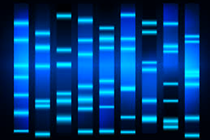 Molecular Biology - Many questions of Clinical Molecular Biology are available on our test bank. Applying clinical relevance to our questions.