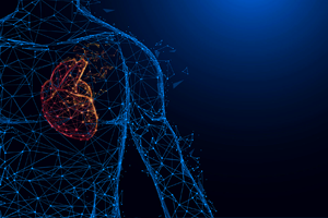 Cardiovascular - Offering questions to familiarize yourself with diagrams to understand physiological concepts